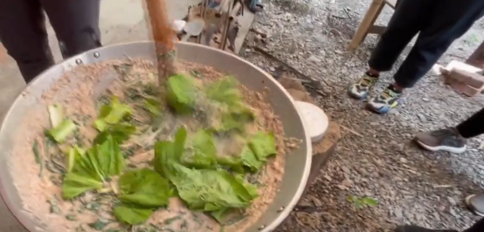 部落大學自然農法 讓課程回歸土地教授