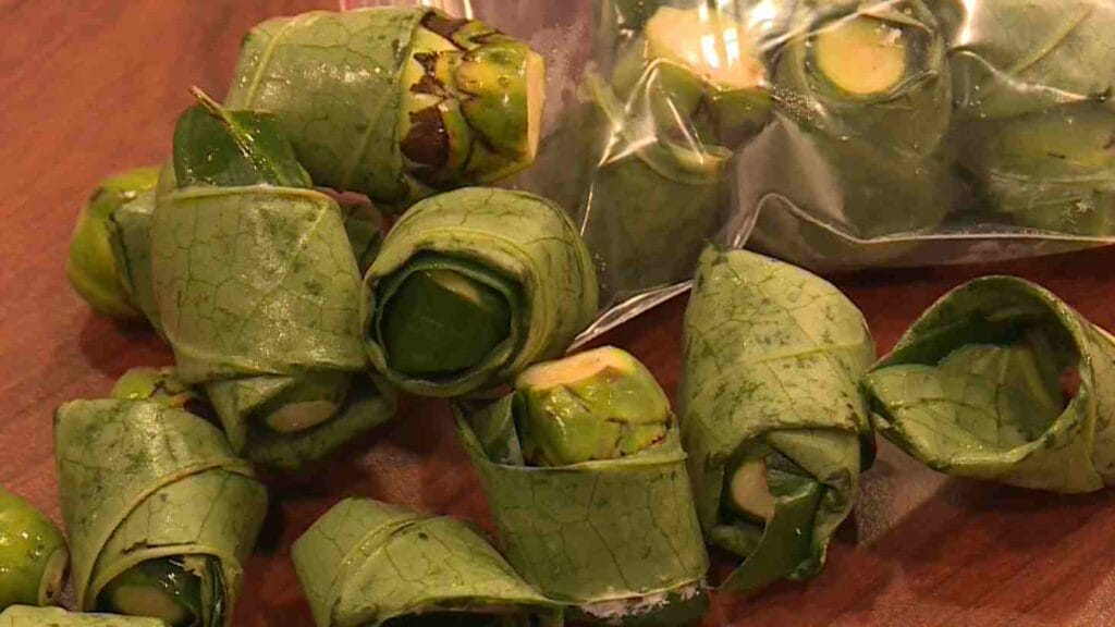 檳榔口腔癌防治1900