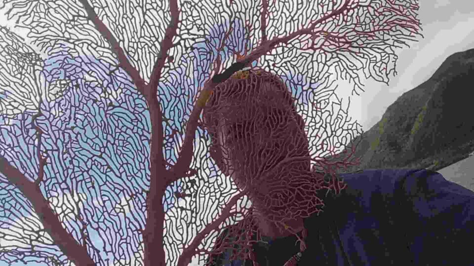 傳喚誤釣紅珊瑚1900