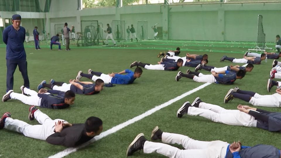 平鎮棒球隊崛起(專)