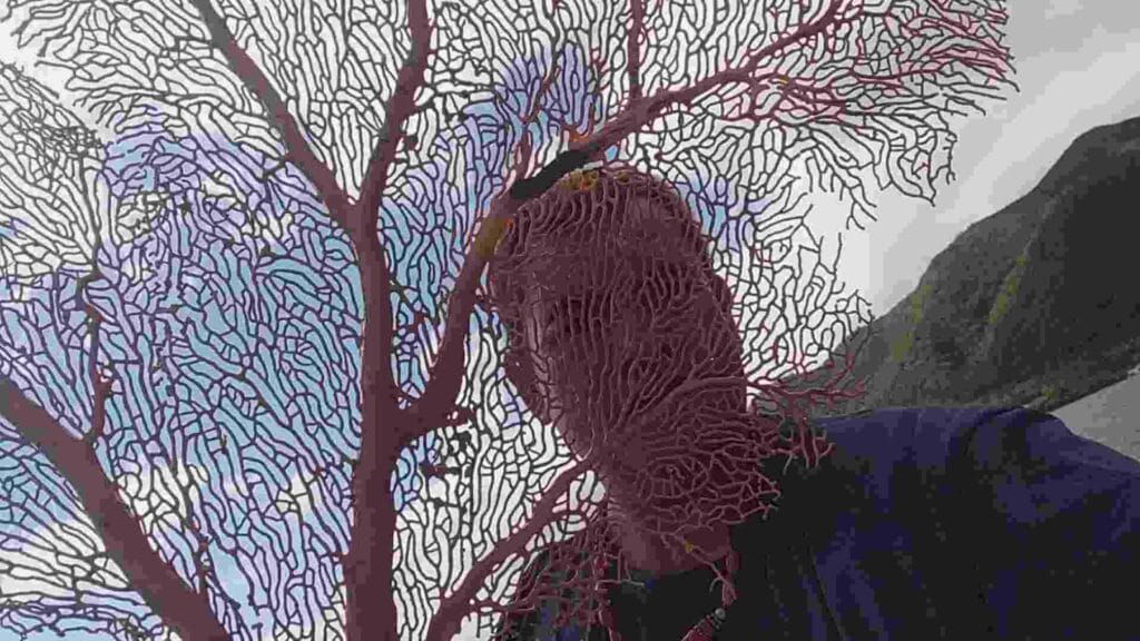 傳喚誤釣紅珊瑚1900