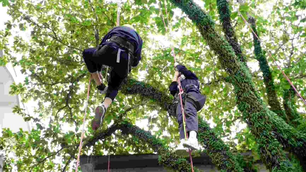 反毒攀樹體驗1900