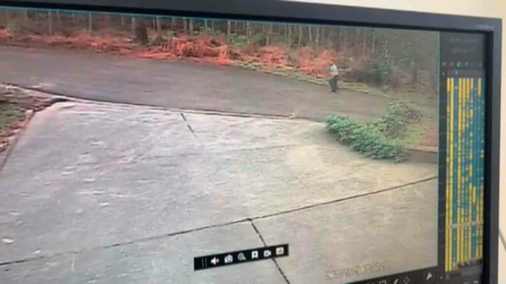 梧繞老翁地毯搜1900