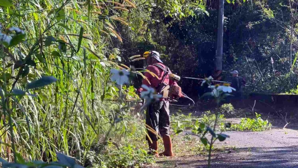 重安部落動員逾40人 循傳統義務清掃道路凝情誼